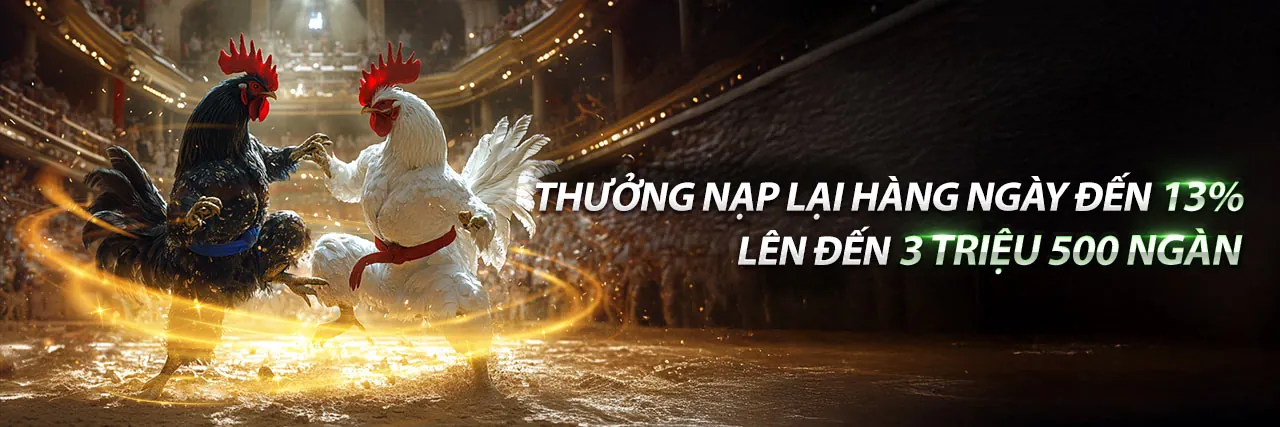 Đá Gà mn88 nhà cái - Sân chơi trực tuyến uy tín 2026